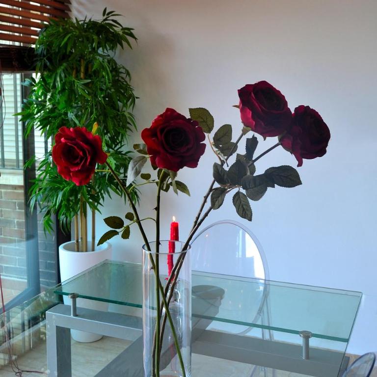 AMAZING FRONTAL BEACH APARTMENT #Traveller's Awards2023 - Apartamento de 2 dormitorios - 17