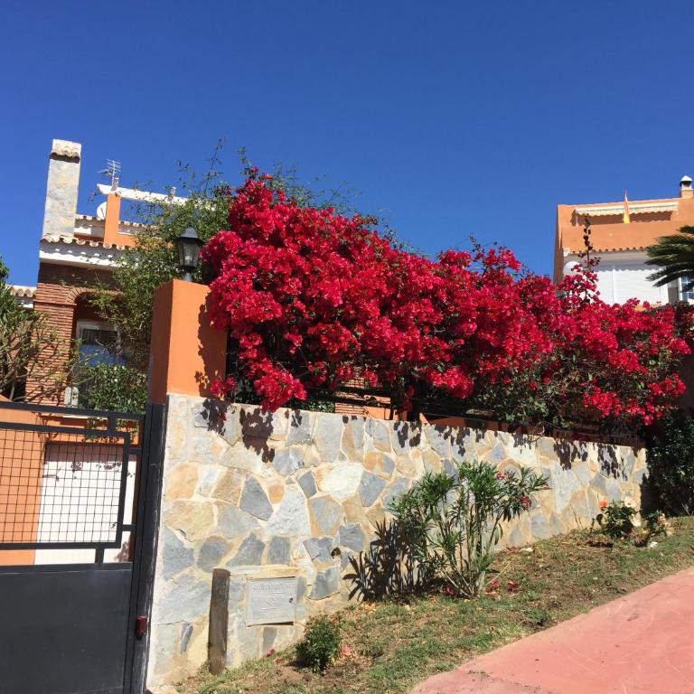 Villa with heated private pool, sea view& turkish sauna - Villa with Private Pool - 66