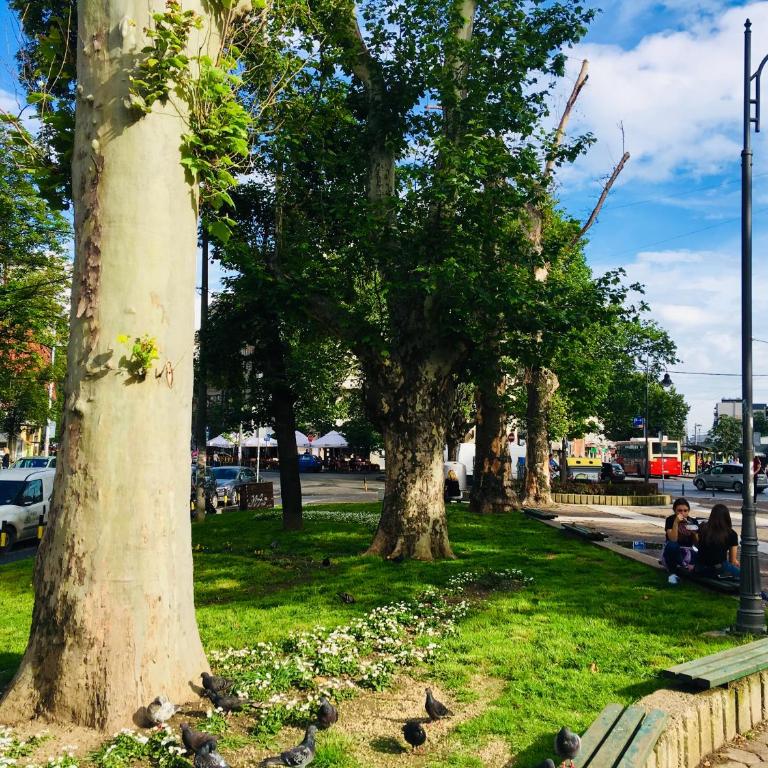 Piano Cube - Apartman sa 1 Spavaćom Sobom - 2