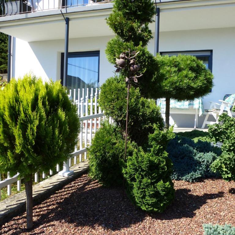 Appartements Kronig - Apartment mit 1 Schlafzimmer und Terrasse - 1