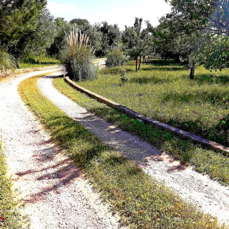 Villa Il Leccio - Trulli - Casa a Schiera con 2 Camere da Letto - 65