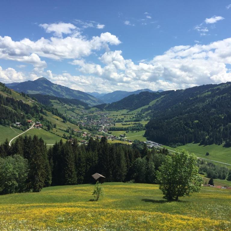Sonnenalp Bergruhe - Apartment mit 1 Schlafzimmer - 22