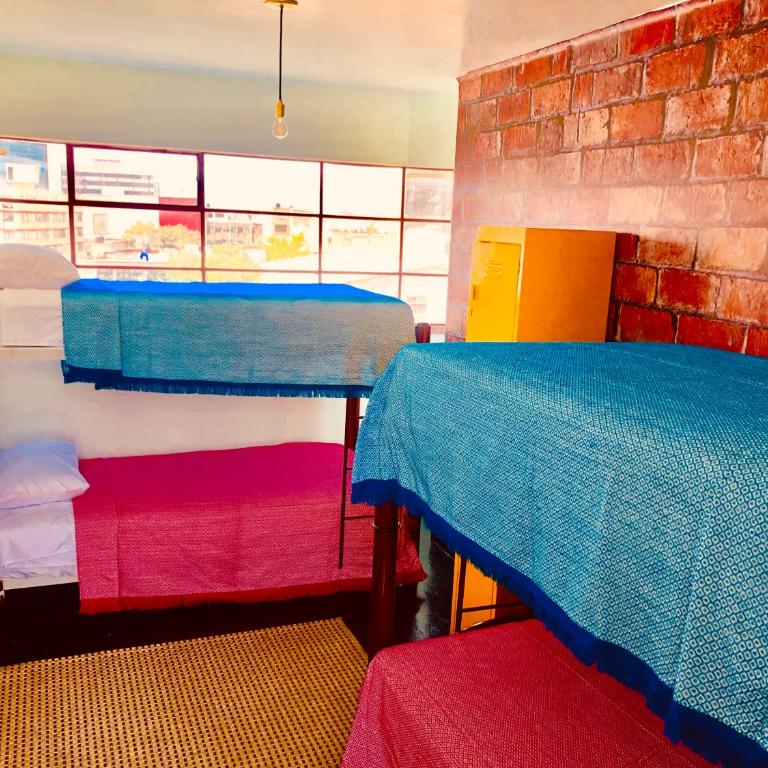 Casa Eufemia Hostel type - Bed in 4-Bed Female Dormitory Room - 7