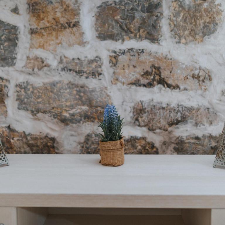 Apartments Trifunovic Old Town - Apartman sa 1 Spavaćom Sobom - 13