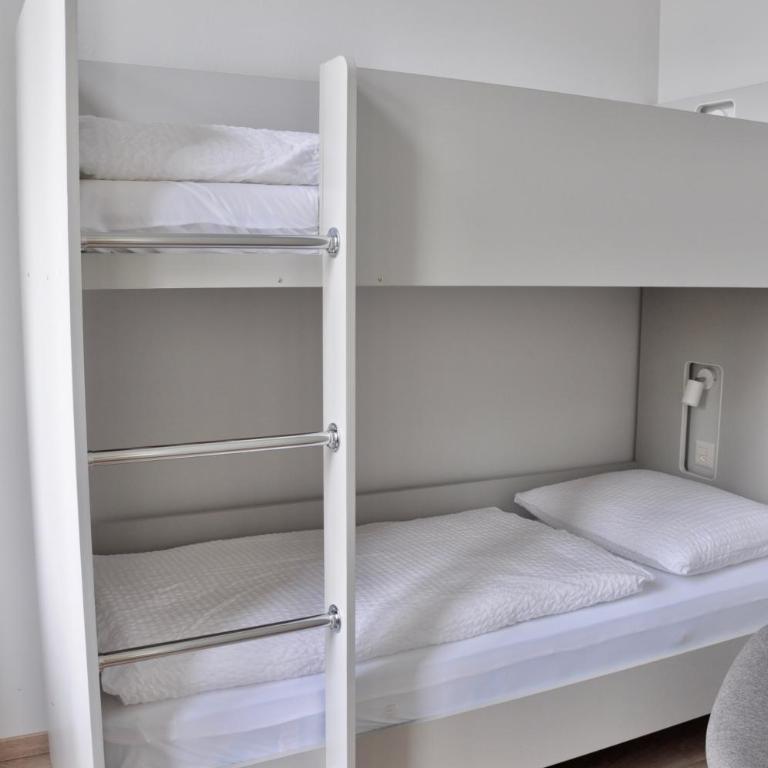 The Loft Interlaken - Luxury Apartment with Terrace for 6 People - 13