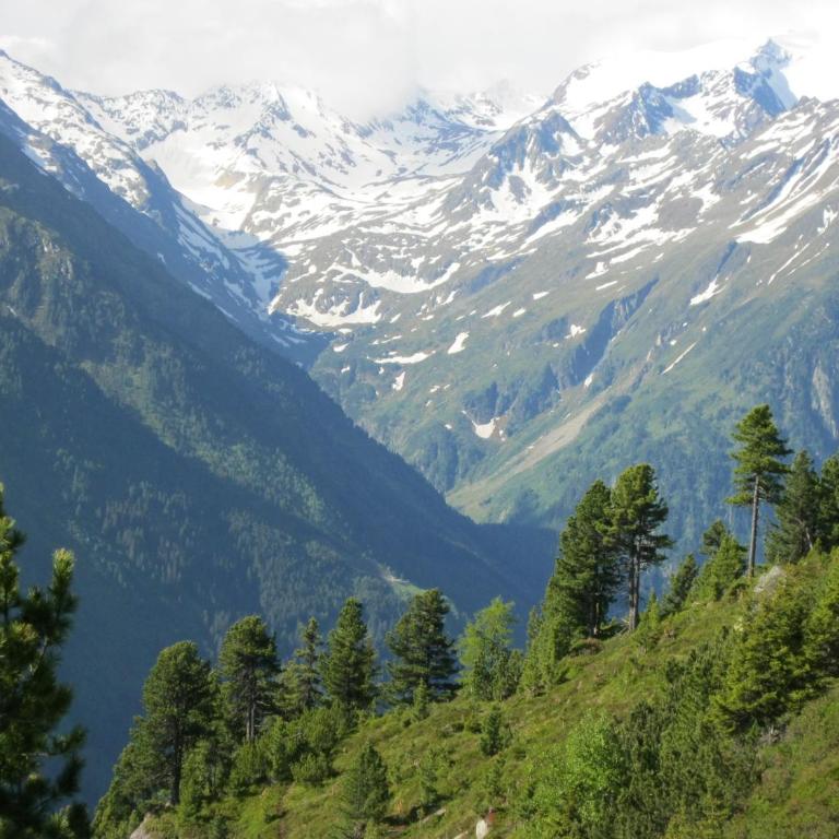 Ferienhaus Stubai - Ferienhaus - 31