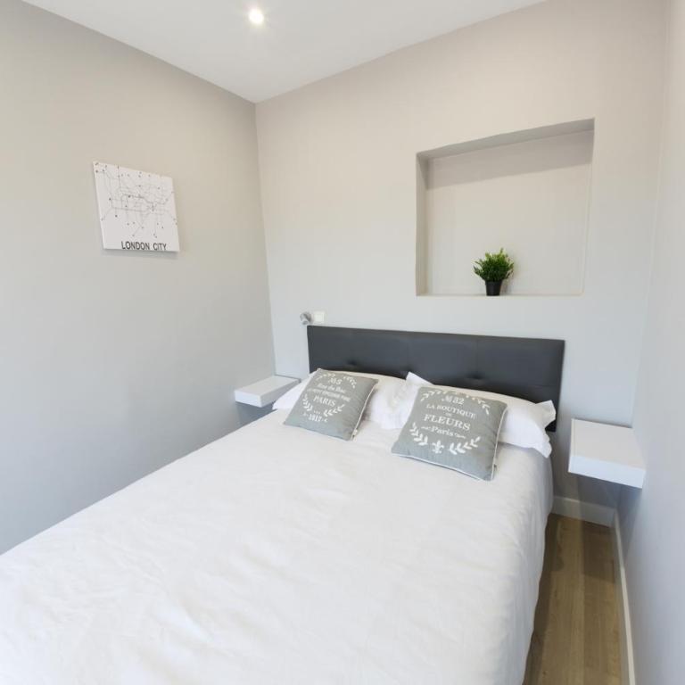 Nuñez de Arce - Apartamento - 17