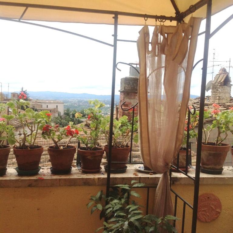 Albergo Anna - Camera Matrimoniale/Doppia con Letti Singoli - 6