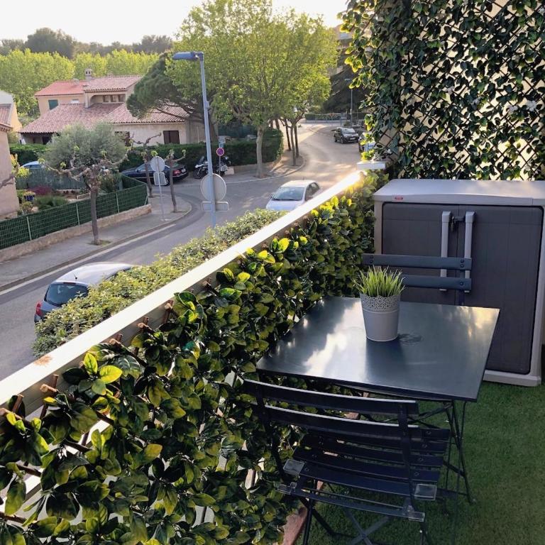 Studio ST-MANDRIER 300m MER - Studio Apartment - 5
