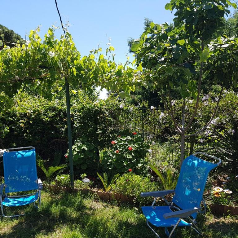 Villa Provençale â Sainte Maxime, Golf de Saint Tropez - Villa mit Meerblick - 27