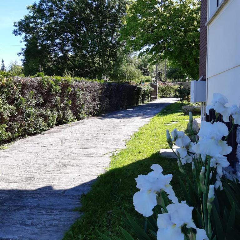 I tulipani - Appartamento - 9