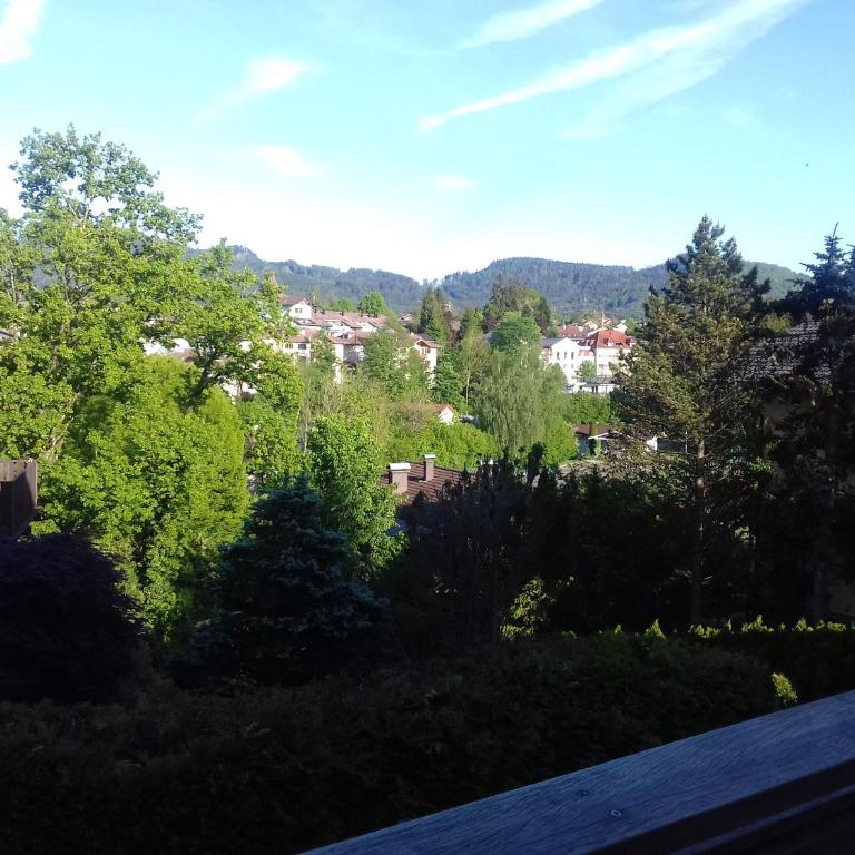 Ferienwohnung Wiesmühlstrasse - Maisonette-Apartment - 24