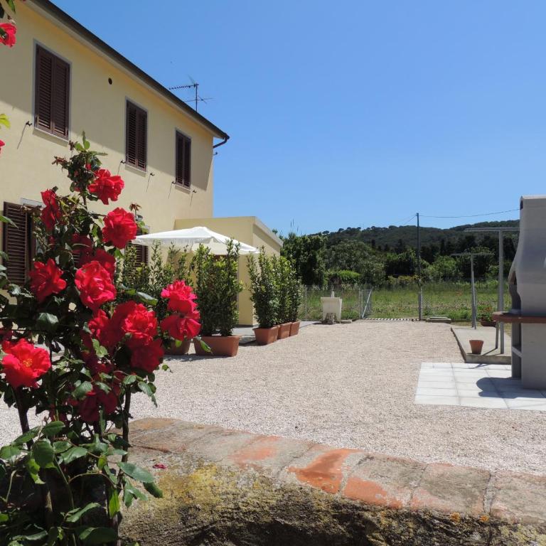 Casa Emy - Argonauti Vacanze - Apartment - Ground Floor - 1