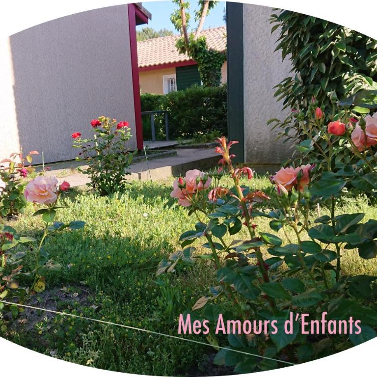 Résidence Mes Amours d'Enfants - Les Villas du Lac - Chalet 3 Chambres - 34