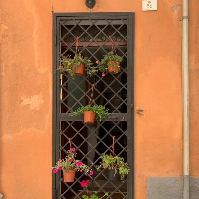 Stella Marina Appartamento - One-Bedroom Apartment - 19