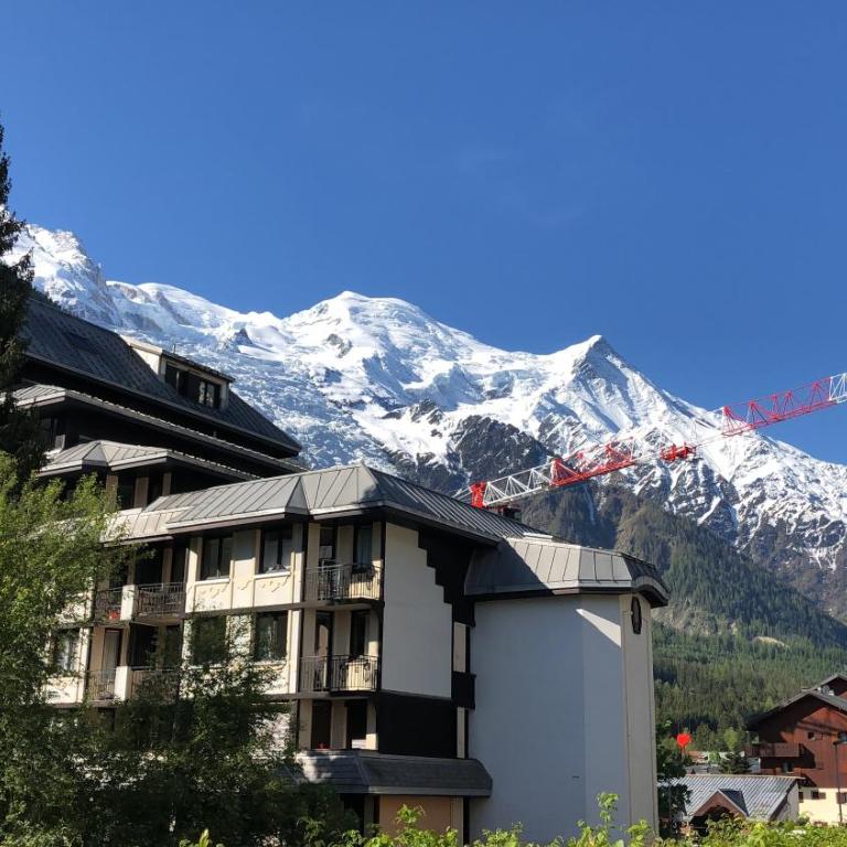 Mont Blanc View Chamonix Apartment - Appartement 1 Chambre - 10