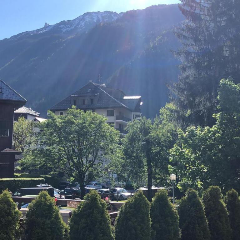Mont Blanc View Chamonix Apartment - Appartement 1 Chambre - 13