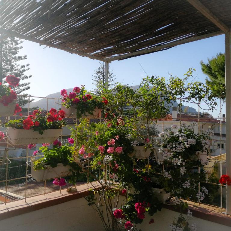 La stanza di Angi a Mondello - Camera Matrimoniale con Terrazza - 7