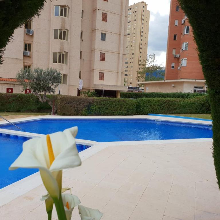 En el cielo de Benidorm - Alteanos V - Two-Bedroom Apartment - 39