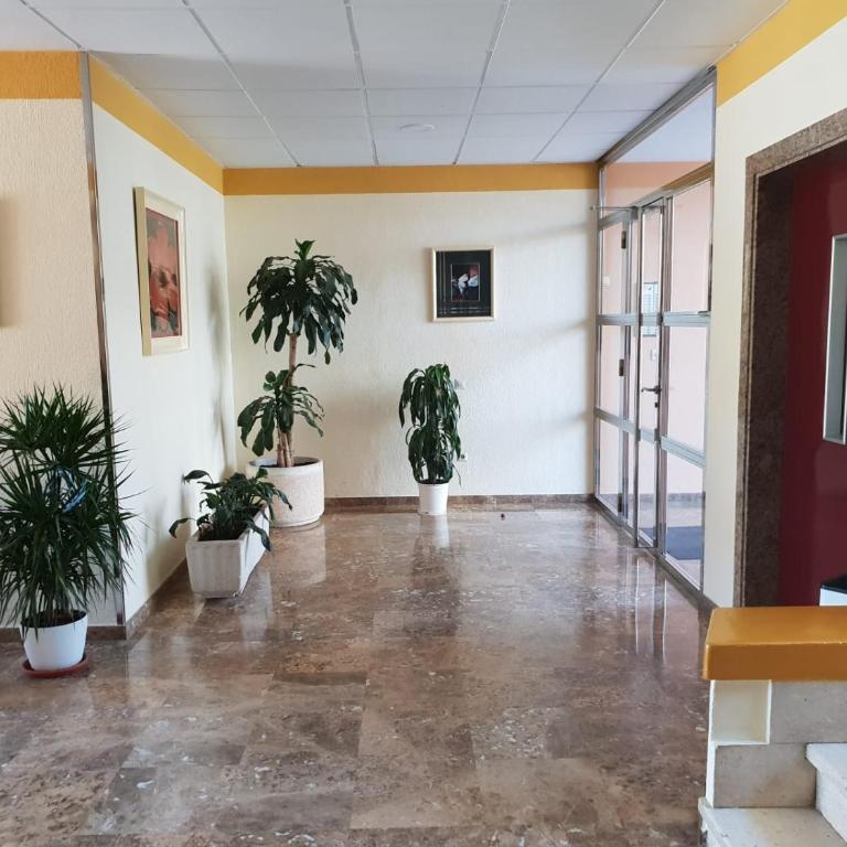 En el cielo de Benidorm - Alteanos V - Two-Bedroom Apartment - 45