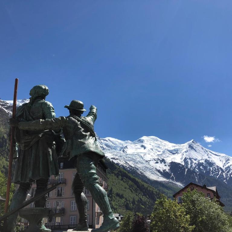 Mont Blanc View Chamonix Apartment - Appartement 1 Chambre - 15