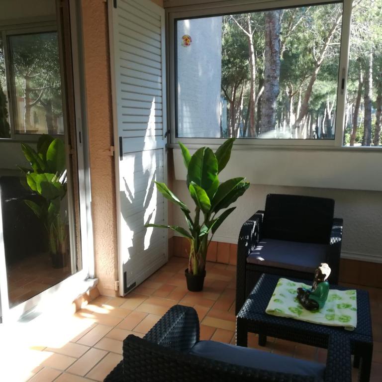Les écureuils à la mer - Appartement 1 Chambre - 72