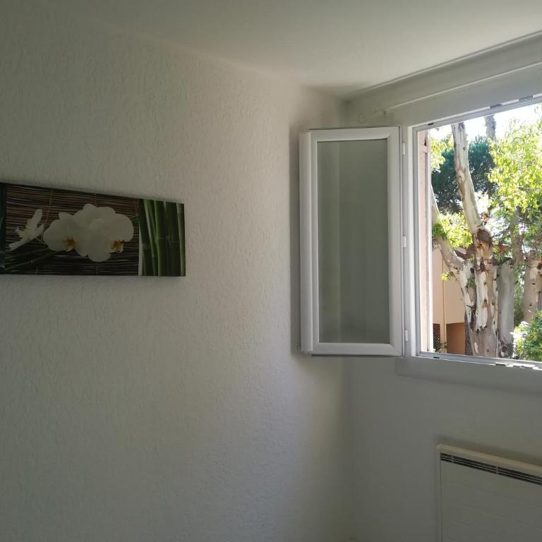 Les écureuils à la mer - Appartement 1 Chambre - 54