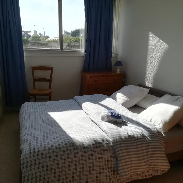 T2 balcon vue mer parking et entrée sécurisés tout à pied - Apartment mit 1 Schlafzimmer - 20