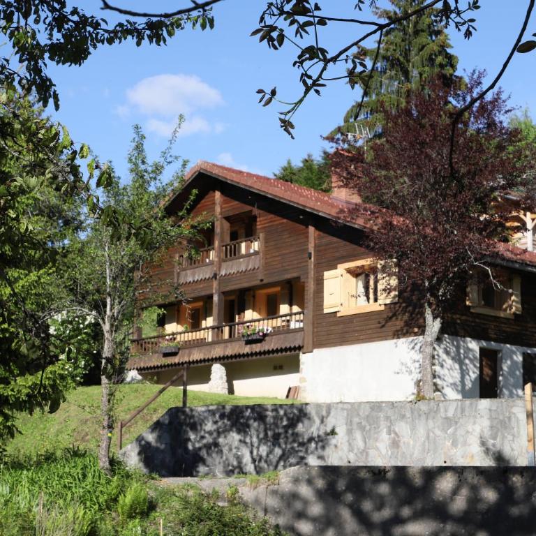 Sous les Ecotagnes - Chalet Supérieur - 1