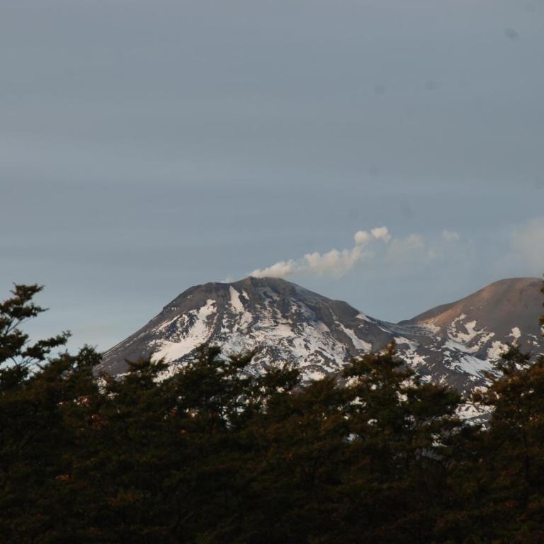 La Ruta de Los Volcanes - Las Trancas Chillán - Chalet de 3 dormitorios - 31
