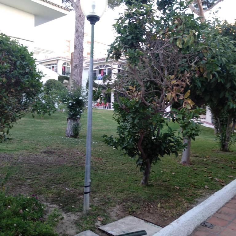 Apartamento La Orquídea - Apartamento de 2 dormitorios - 23