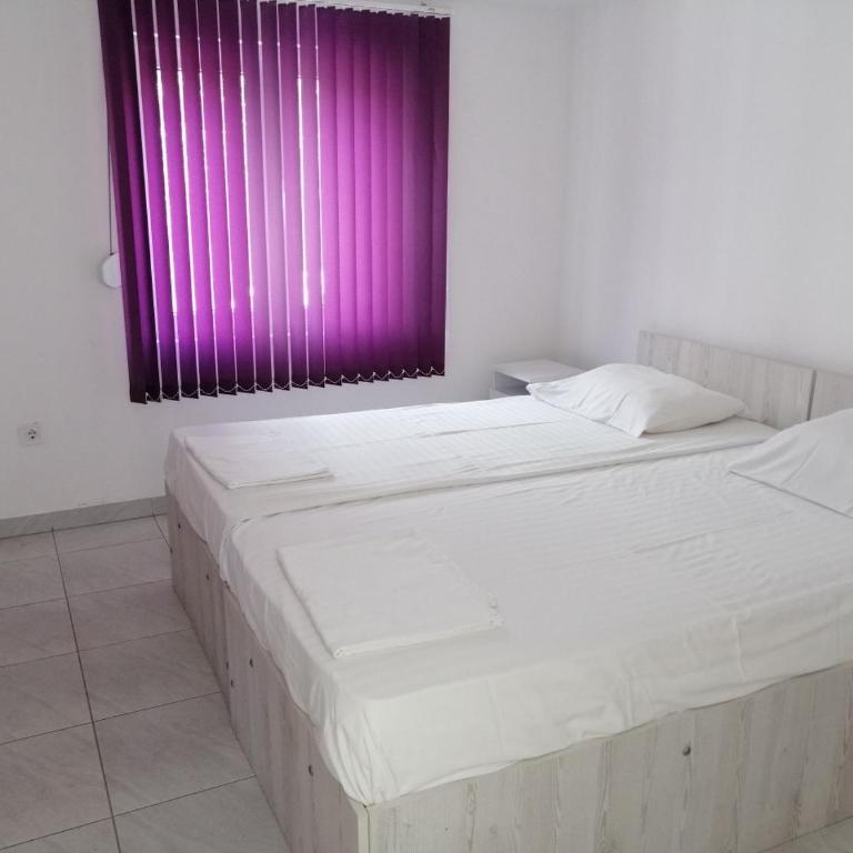 Apartments Stevanovic - Standard Twin Room with Shared Bathroom - 1