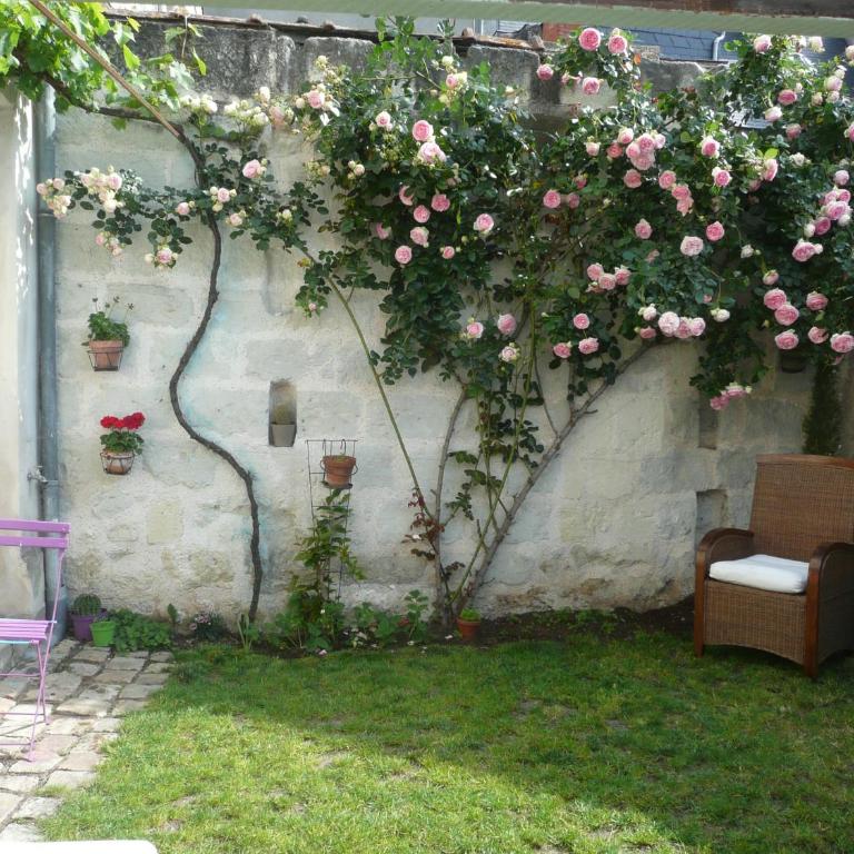 Cosy Flat 2 eme étage vue château Loire à velo - Appartement - Vue sur Jardin - 7