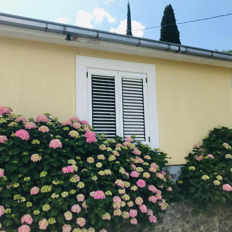 Etno village Mihailovic - One-Bedroom House - 74