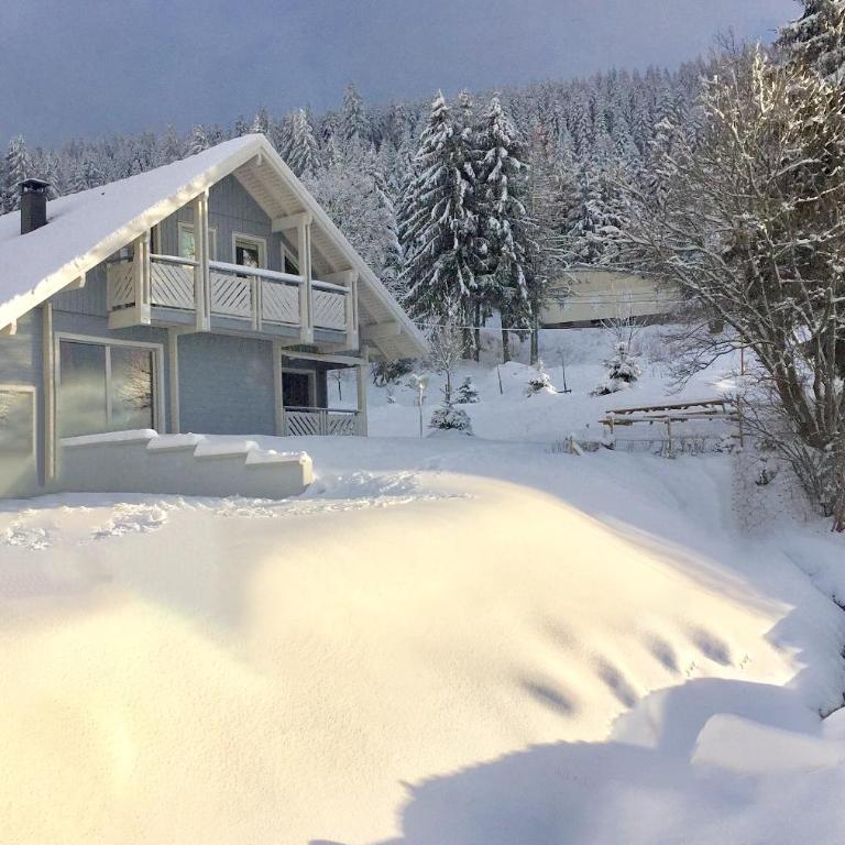 Chalet Le Flocon Bleu - Mauselaine avec vue sur le Lac de Gérardmer - Chalet 3 Chambres - 62