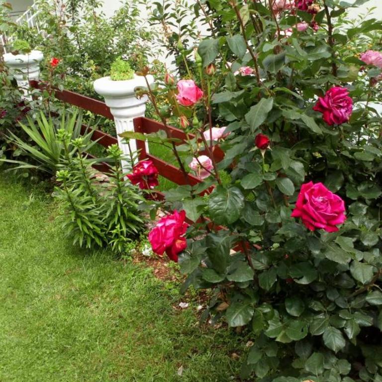 Apartman Maja - Apartman sa 3 Spavaće Sobe - 28