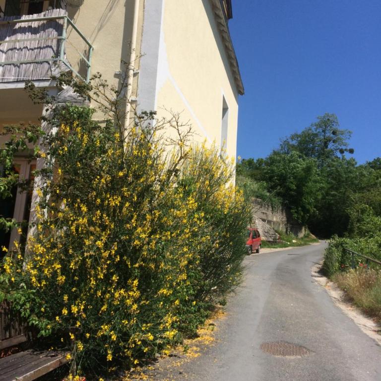 Le petit secret au pied du zoo - One-Bedroom House - 19