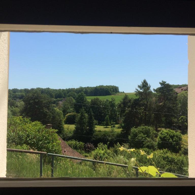 Le petit secret au pied du zoo - One-Bedroom House - 21