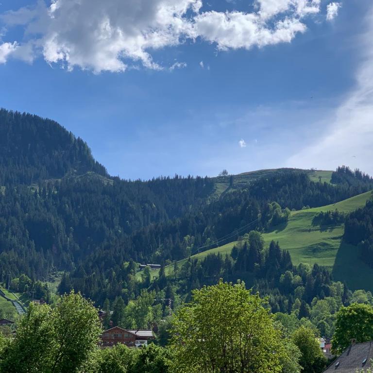 City-apart Kitzbühel Stadt - Apartamento con balcón - 11