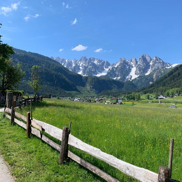 Dachstein Mountainview Gosau - Appartamento - 14