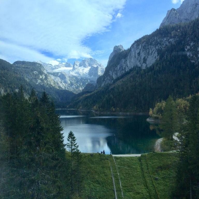 Dachstein Mountainview Gosau - Appartamento - 37