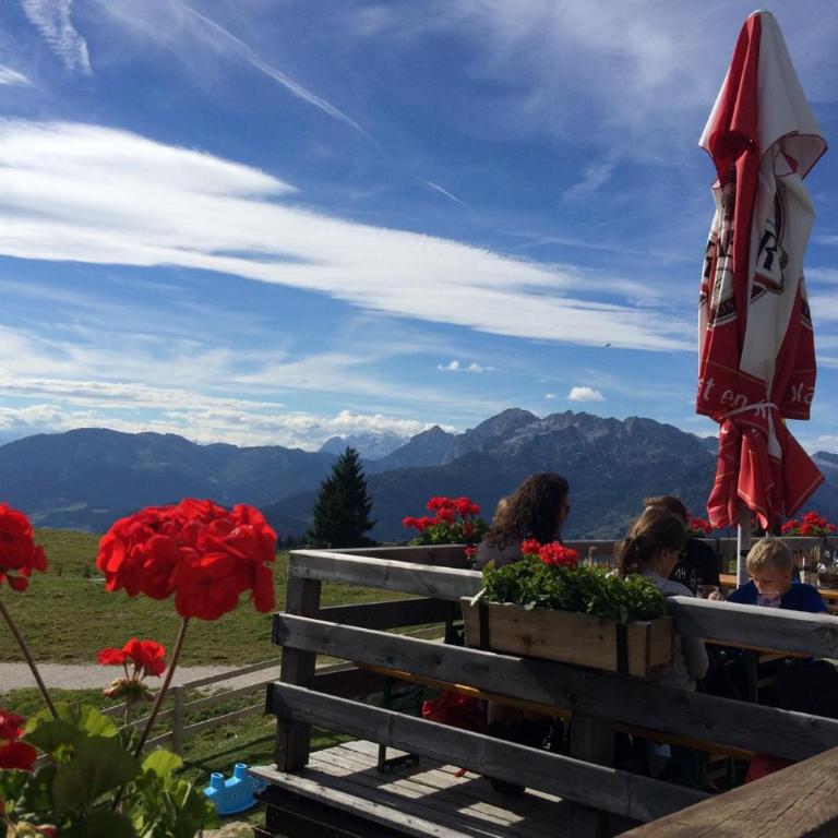 Dachstein Mountainview Gosau - Appartamento - 38