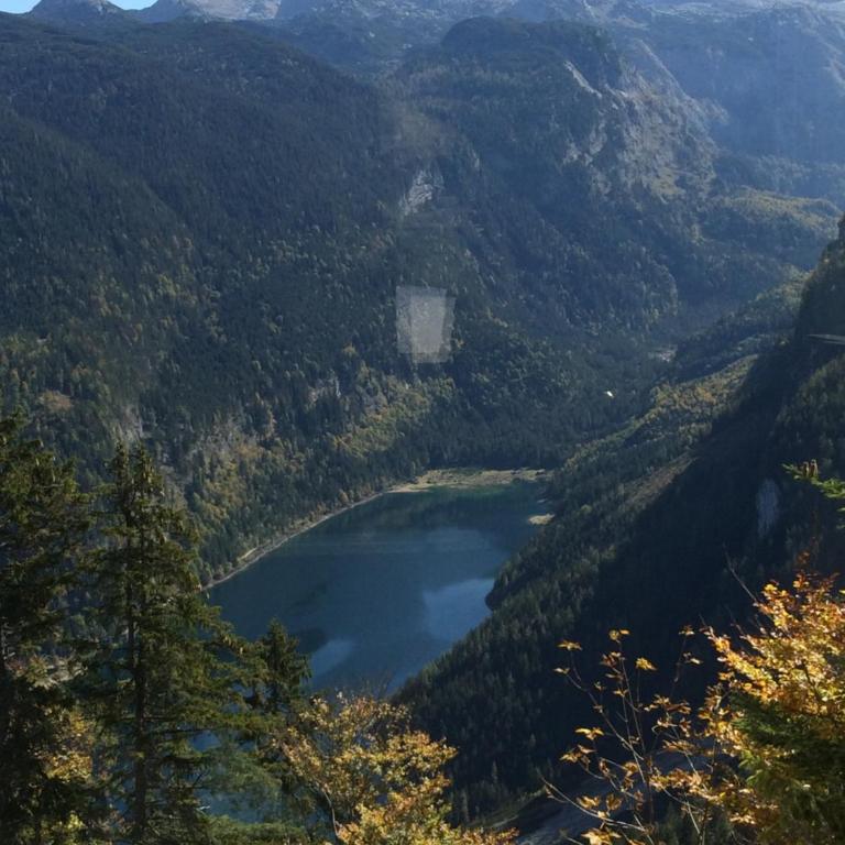 Dachstein Mountainview Gosau - Appartamento - 35