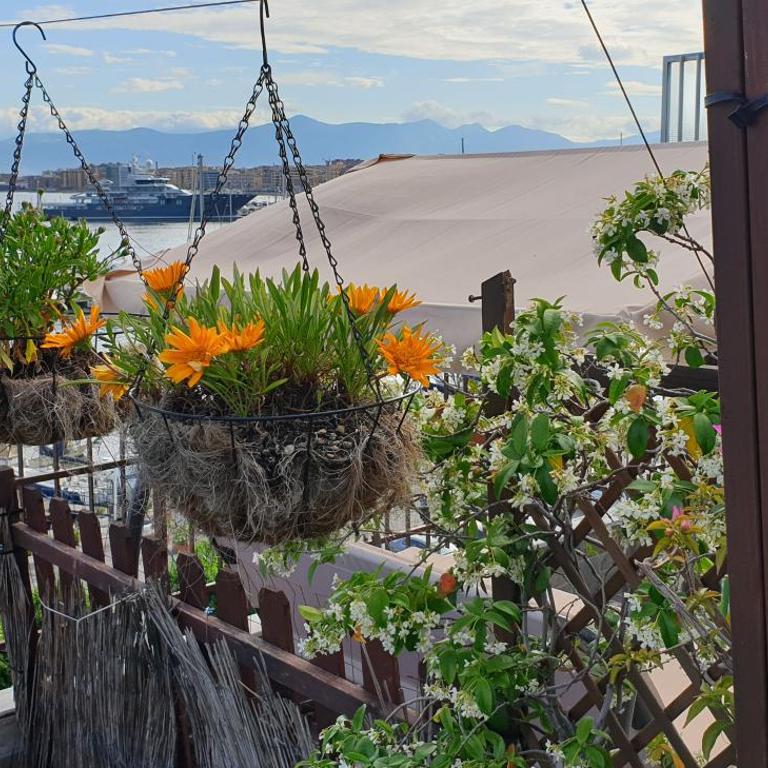 Siriana open space - Monolocale con Terrazza e Vista Mare - 29
