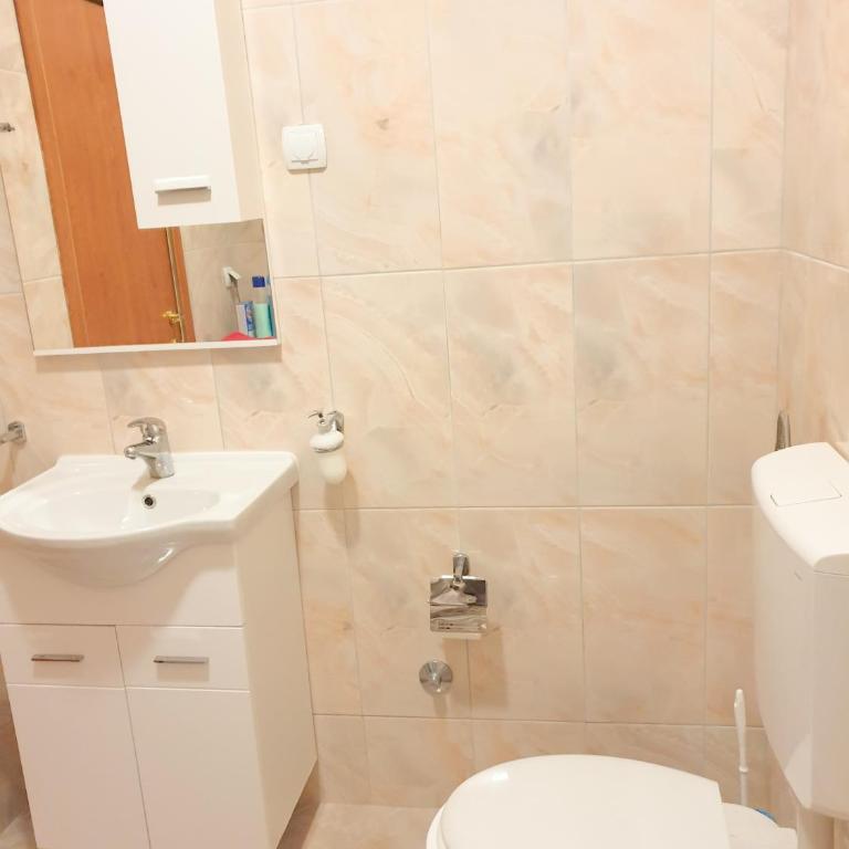 Apartments Lazarević - One-Bedroom Apartment - 8