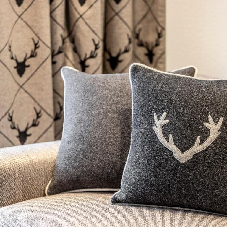 Unique Alpic style apartment in the heart of Davos - Deluxe Apartment - 5