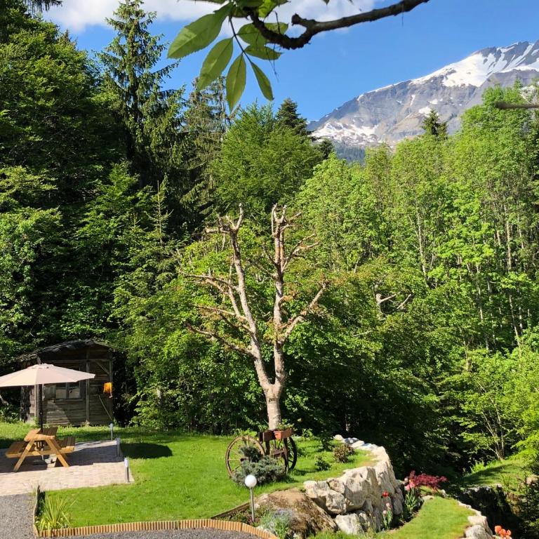 Le Moulin des Olirics - Apartment mit 2 Schlafzimmern und Bergblick - 26