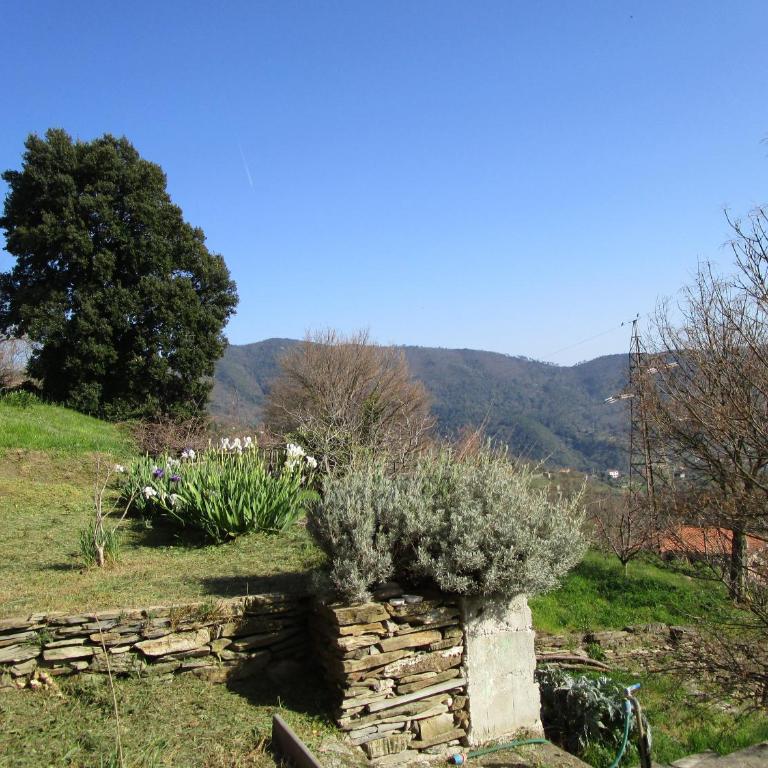 Cinque Terre & Portofino Lodge-Dependance Bracco - Appartamento con 2 Camere da Letto - 29