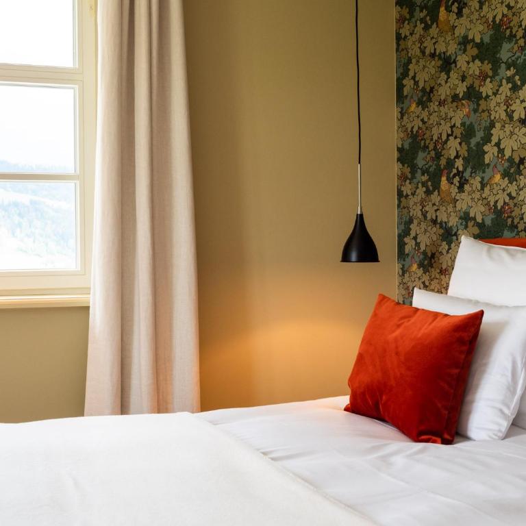 Alpenloge Design Hotel - Deluxe Suite mit Kingsize-Bett - 2