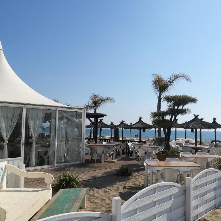 Les écureuils à la mer - Appartement 1 Chambre - 71